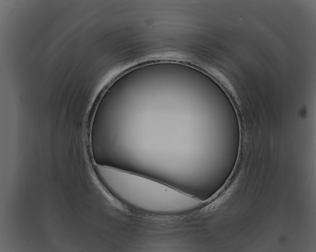 X0000091710989200708240952