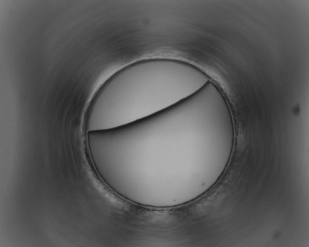 X0000091710990200708240952