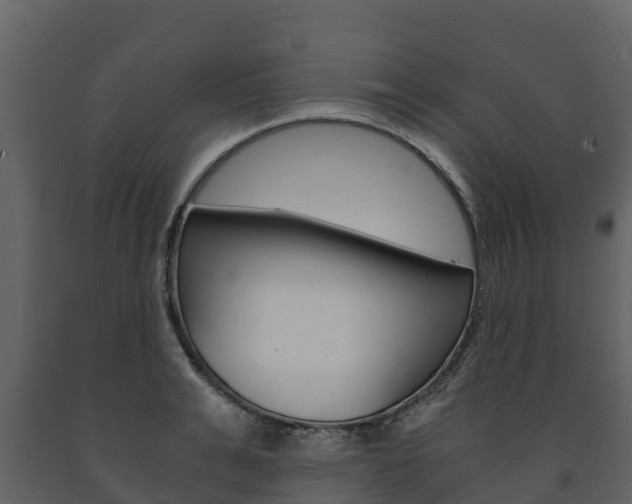 X0000091710991200708240952