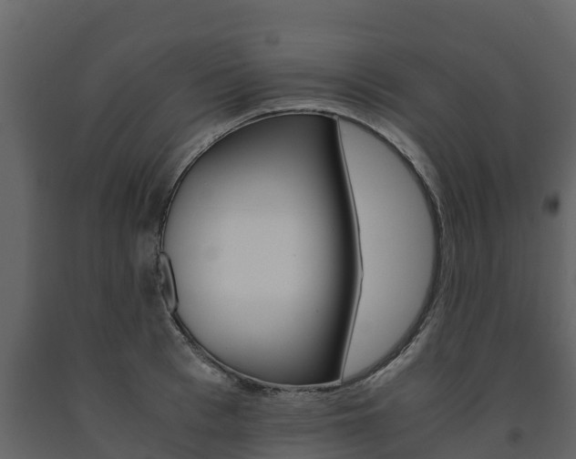 X0000091710993200708240952