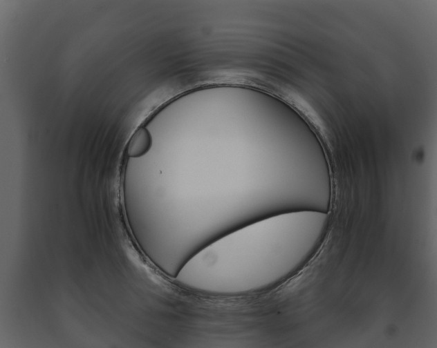 X0000091710994200708240952