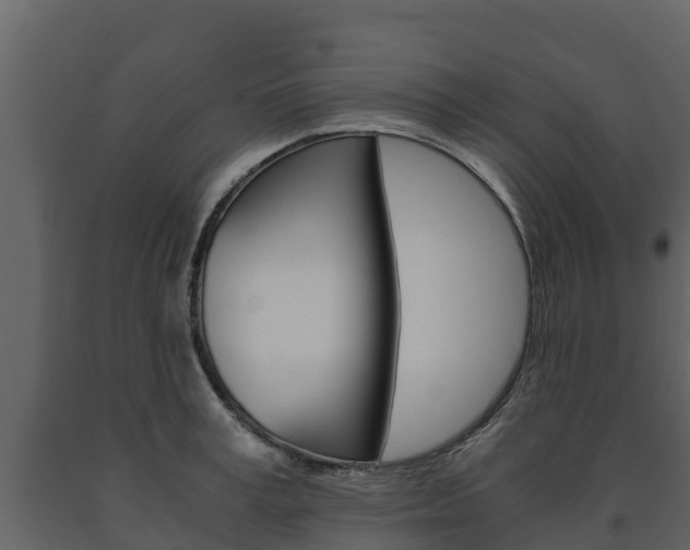 X0000091710995200708240952