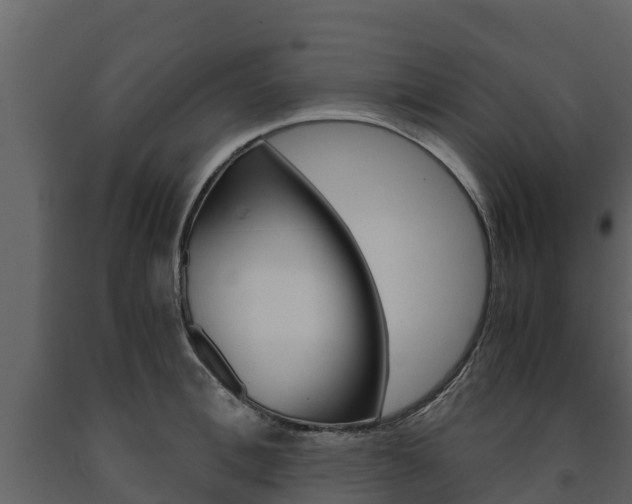 X0000091710996200708240952