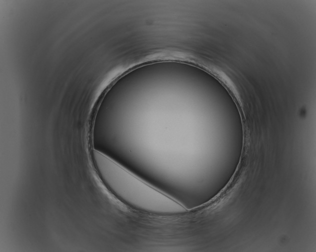 X0000091710997200708240952