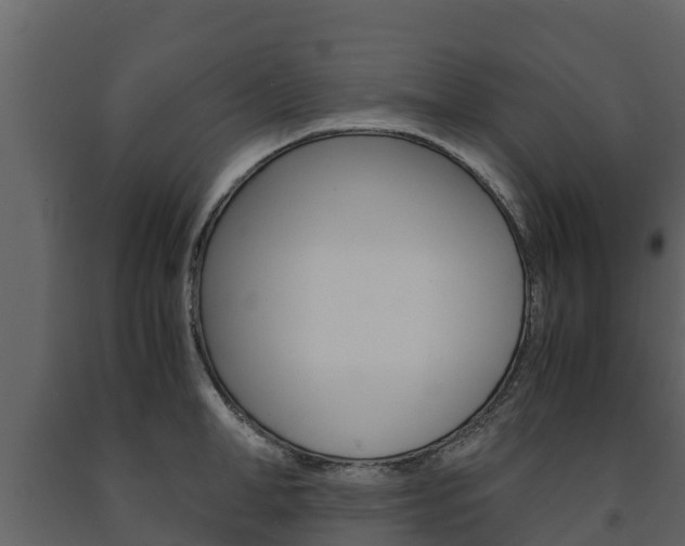 X0000091710998200708240952
