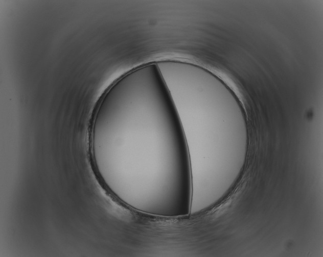 X0000091710999200708240952