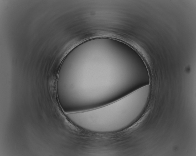 X0000091711001200708240952