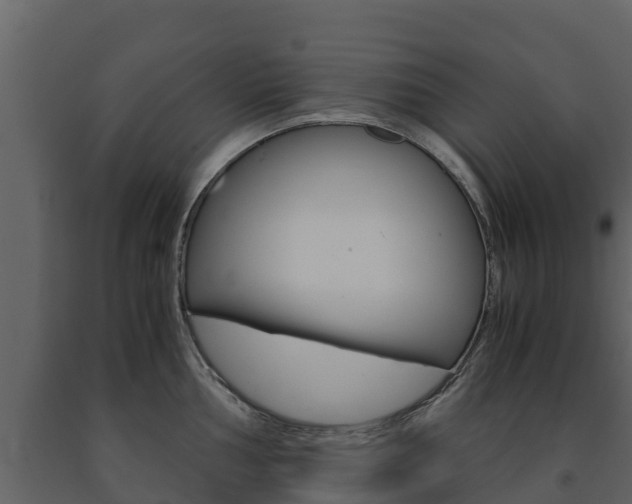 X0000091711002200708240952