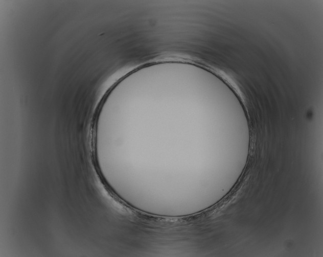 X0000091711003200708240952