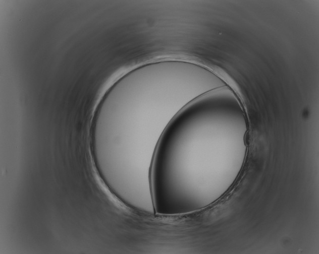 X0000091711005200708240952