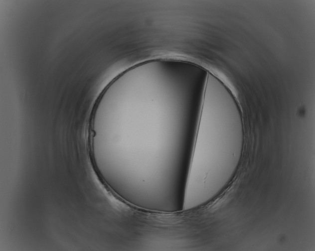 X0000091711007200708240952