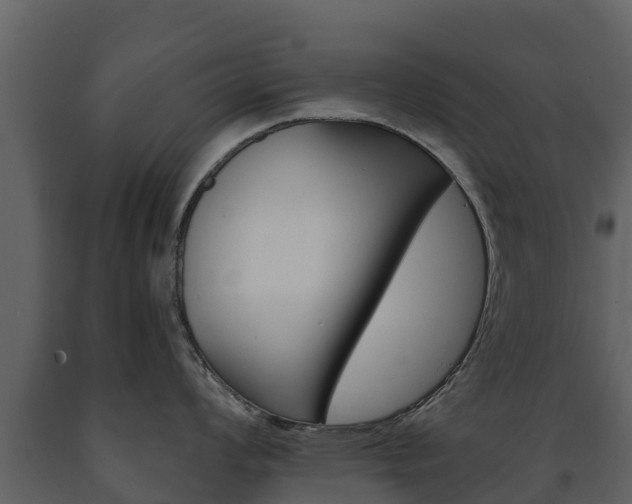X0000091711008200708240952