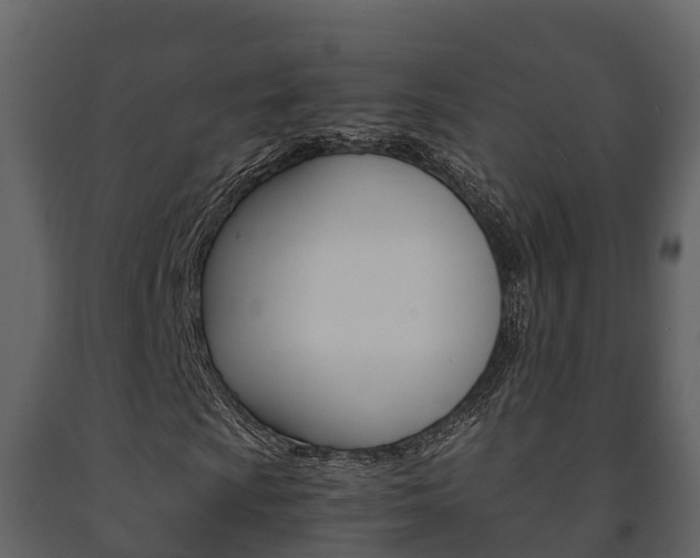 X0000091711009200708240951