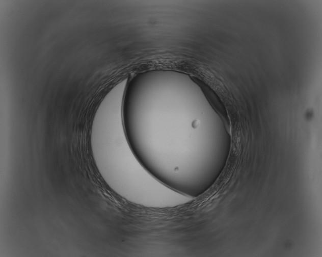 X0000091711010200708240951