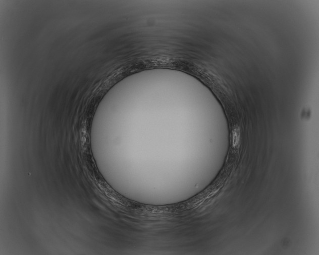 X0000091711011200708240951