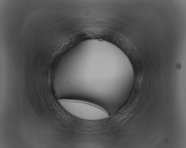 X0000091711012200708240951