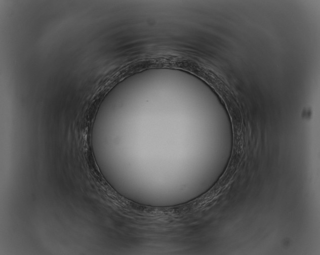 X0000091711013200708240952