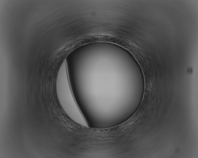 X0000091711014200708240952