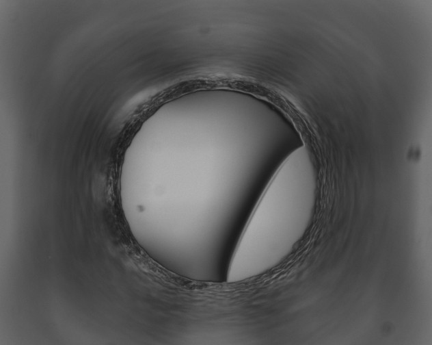 X0000091711016200708240952