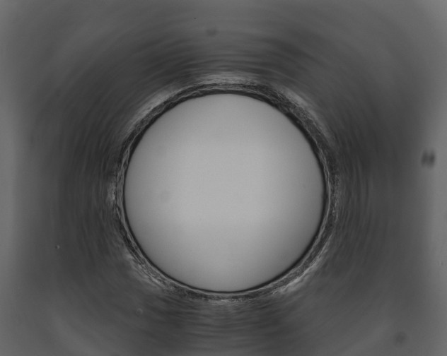 X0000091711017200708240952