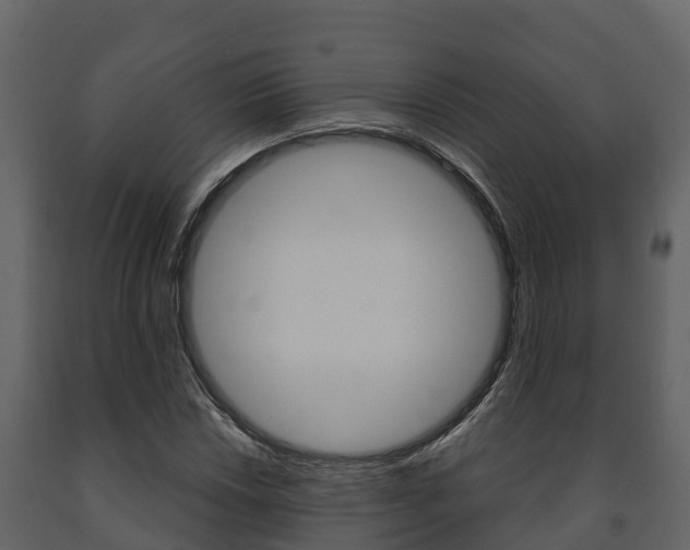 X0000091711018200708240952