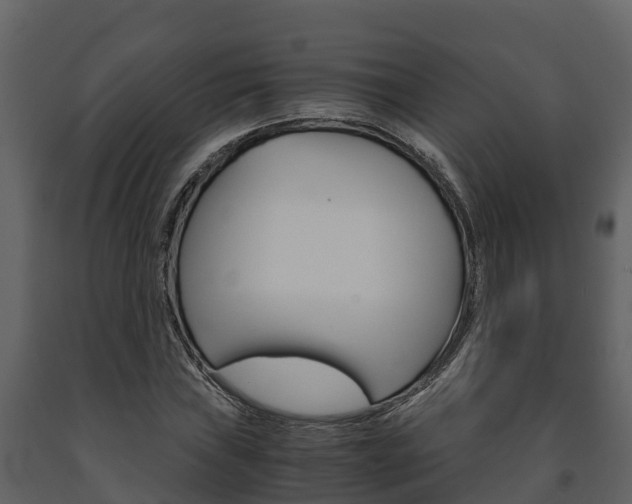 X0000091711019200708240952