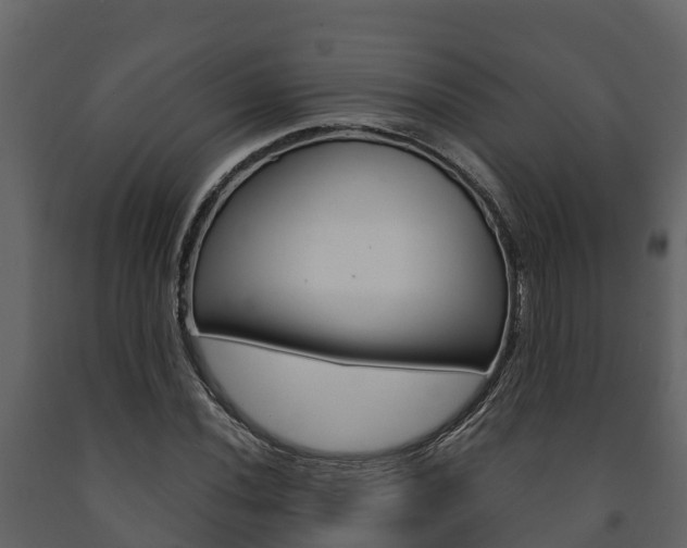 X0000091711020200708240952