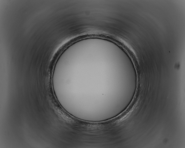 X0000091711021200708240952