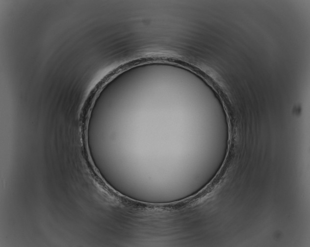 X0000091711022200708240952