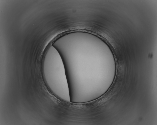X0000091711023200708240952