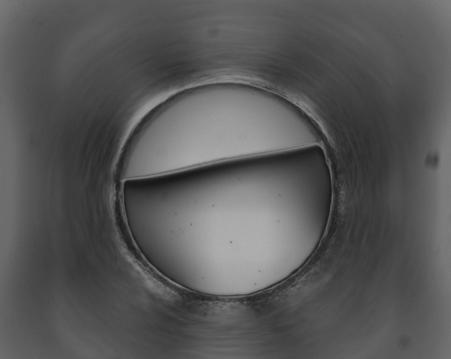 X0000091711024200708240952
