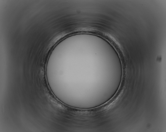 X0000091711025200708240952