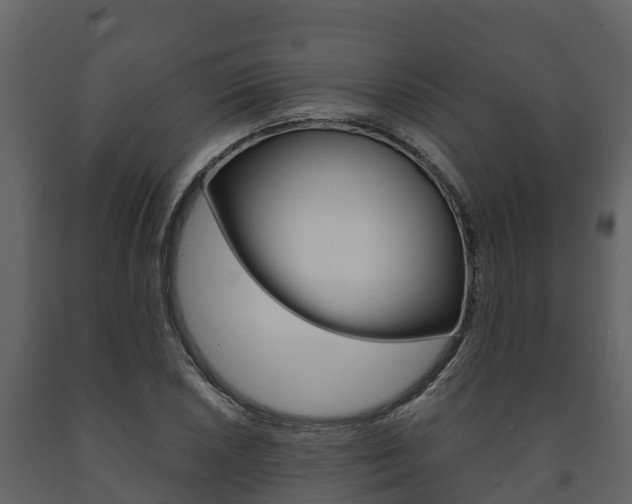 X0000091711026200708240952