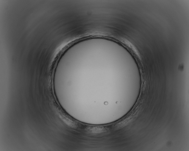 X0000091711027200708240952
