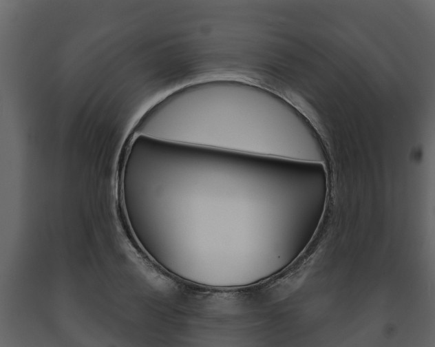 X0000091711028200708240952