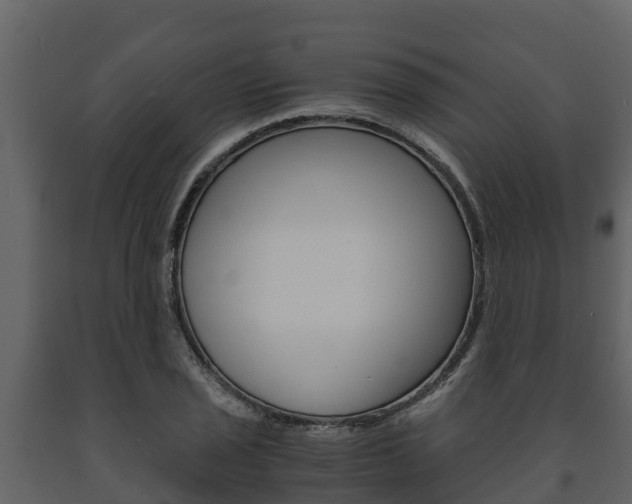X0000091711029200708240952
