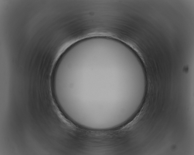 X0000091711030200708240952