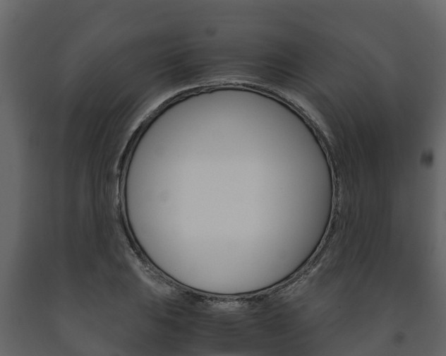 X0000091711031200708240952