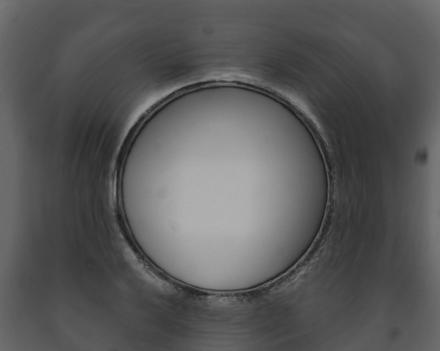 X0000091711032200708240952