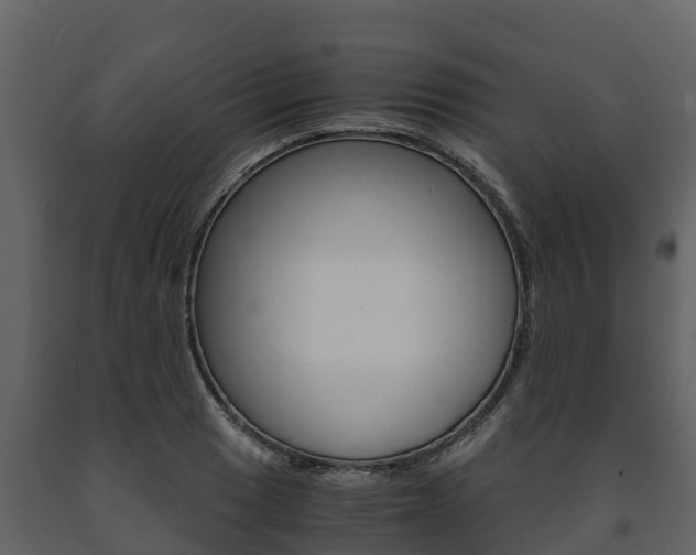 X0000091711033200708240952