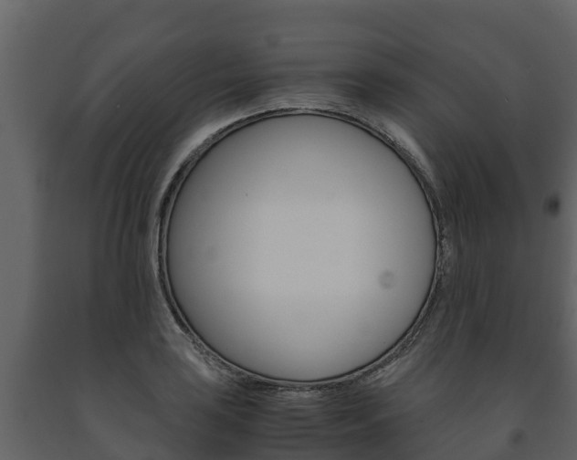 X0000091711035200708240952