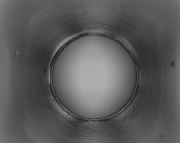 X0000091711036200708240952