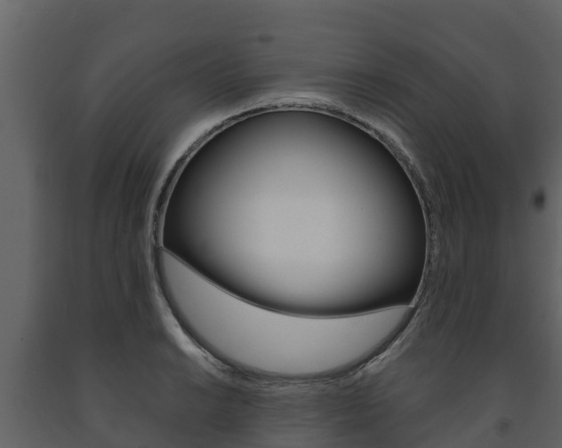 X0000091711038200708240952