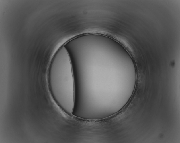 X0000091711040200708240952