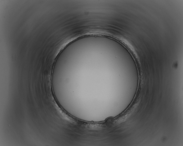 X0000091711041200708240952