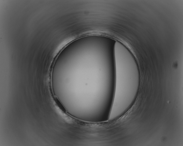 X0000091711042200708240952