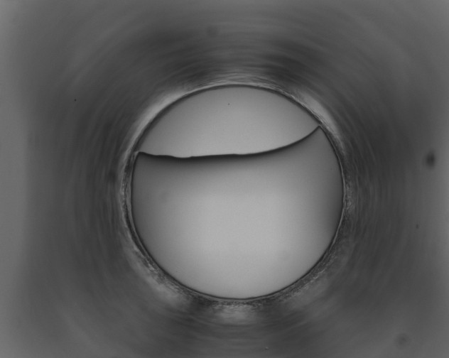 X0000091711043200708240952