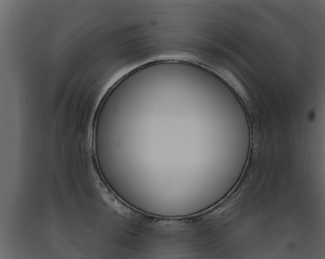 X0000091711044200708240952