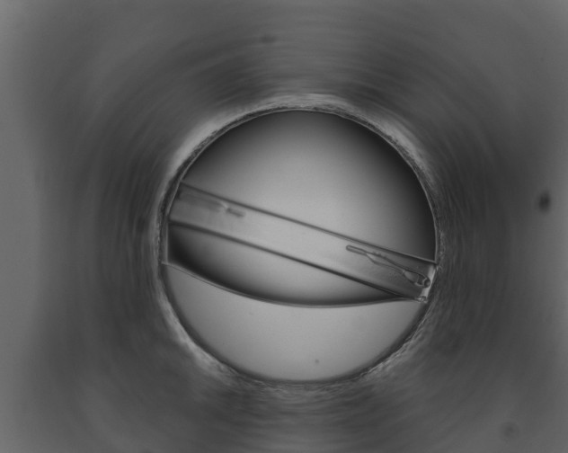 X0000091711046200708240952