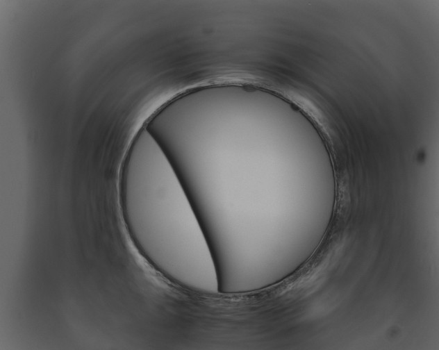 X0000091711047200708240952